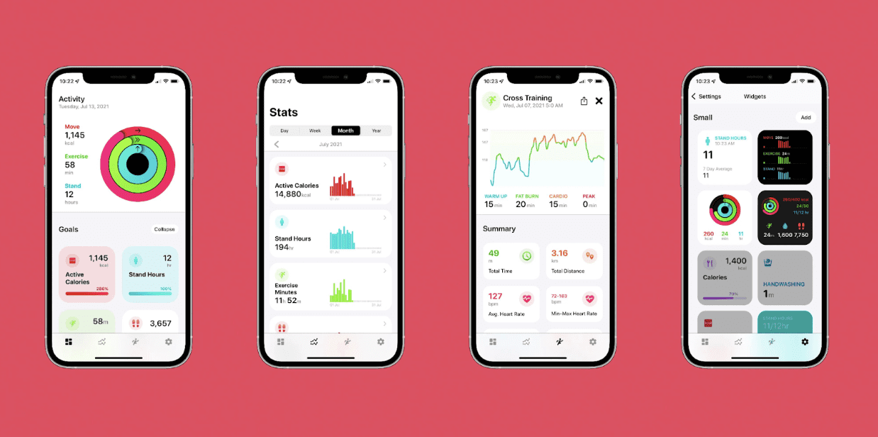 Apple Health app data visualization