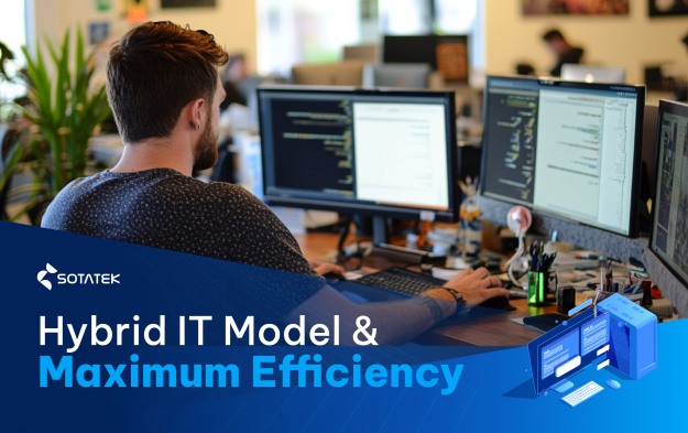 Navigating the Hybrid IT Model: Maximum Efficiency with External Expertise