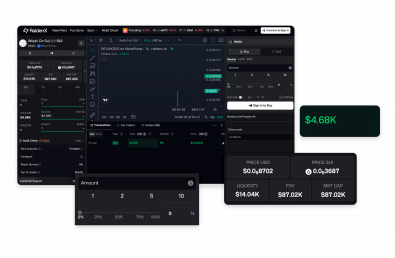 RaidenX: Enhancing Meme Trading on the Sui Blockchain